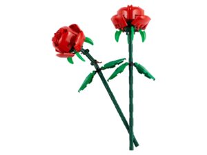 EXPIRED – Roses (40460)