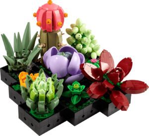 EXPIRED – Succulents (10309)