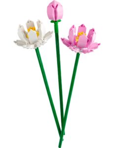 EXPIRED – Lotus Flowers (40647)