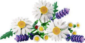 EXPIRED – Daisies (11508)