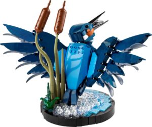 EXPIRED – Kingfisher Bird (10331)