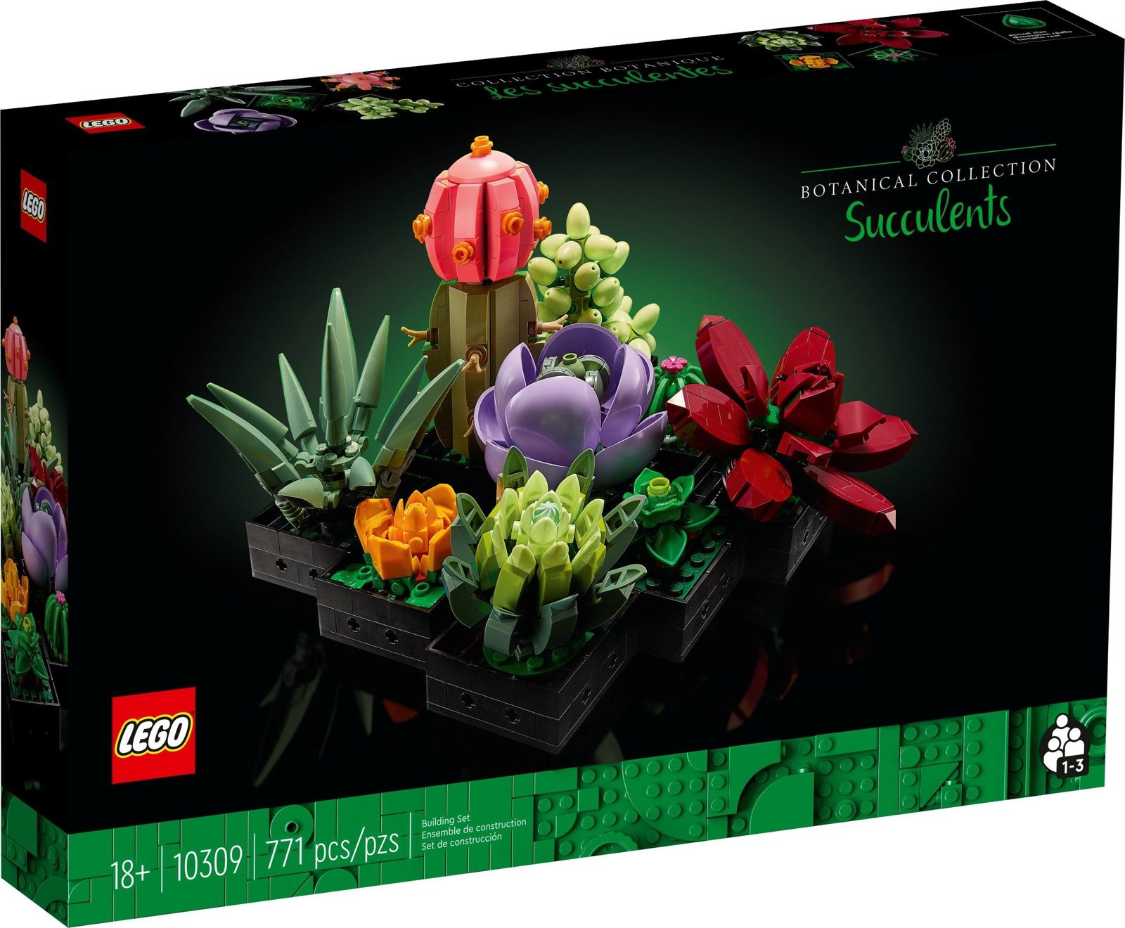 Succulents (10309) – $36.49 | Image 1