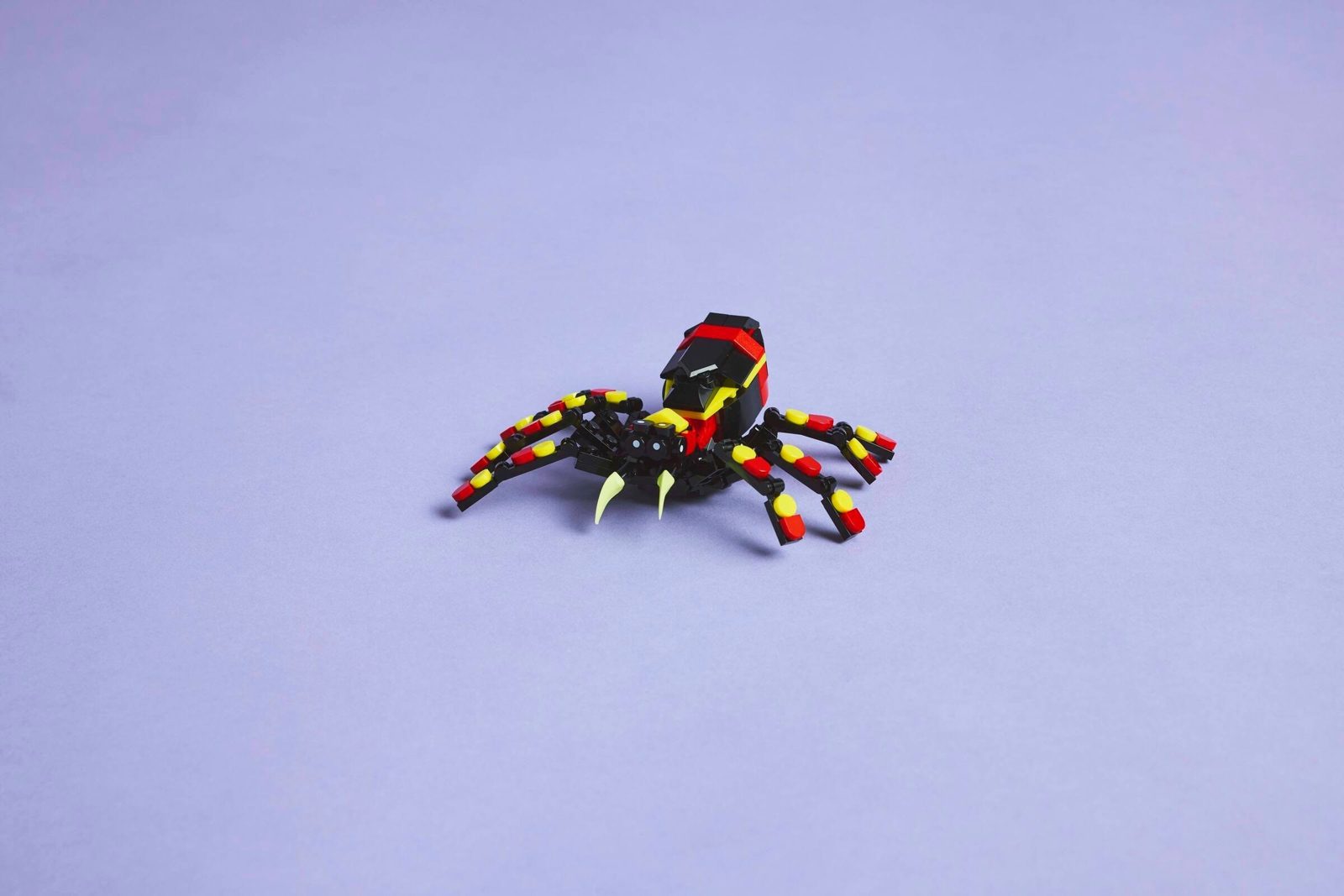 Wild Animals: Surprising Spider (31159) – $9 | Image 4