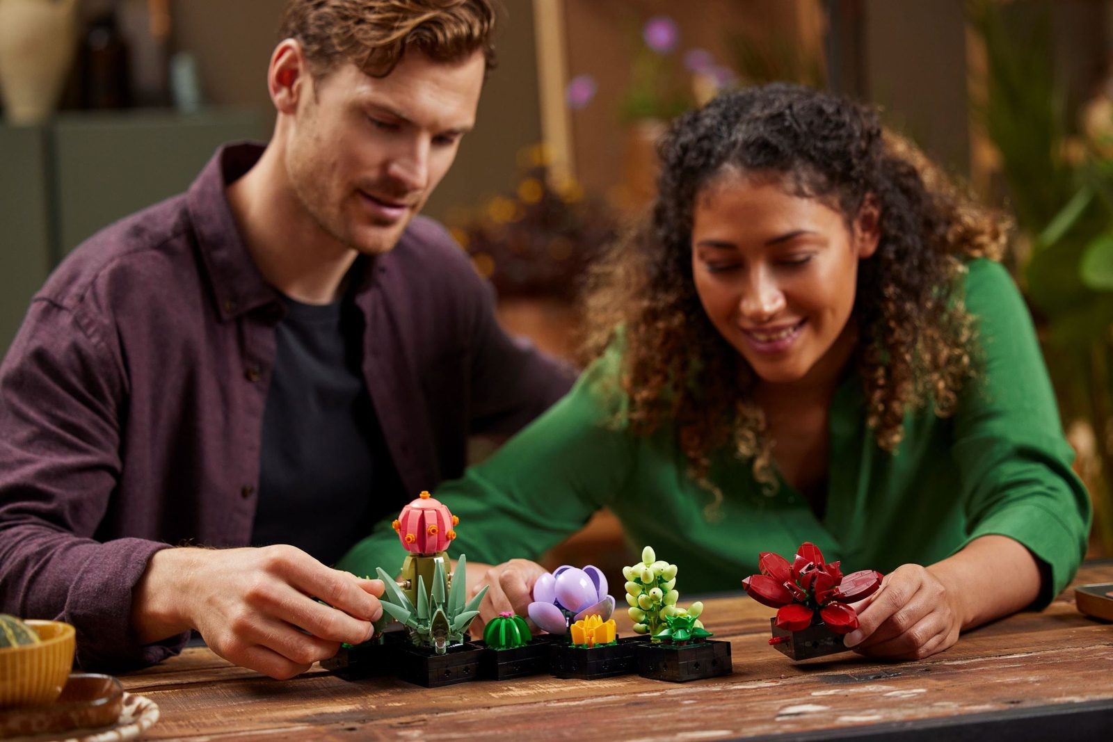 Succulents (10309) – $36.49 | Image 7